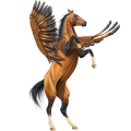 Pegasus Arabian Horse Flaxen Liver chestnut