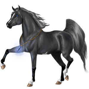 100004800-normal.png?_ga=1.204143952.1753498923.1415032303