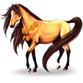 Riding Horse Arabian Horse Liver chestnut