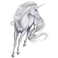 Unicorn Arabian Horse Light Gray