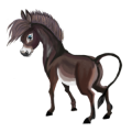 Donkey Donkey White