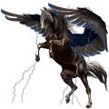 Pegasus Lusitano Dark Bay