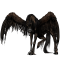 Pegasus Lusitano Black
