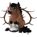 Unicorn Appaloosa Chestnut Snowflake