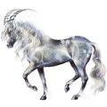 Unicorn Appaloosa Chestnut Spotted Blanket