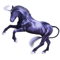Unicorn Australian Pony Liver chestnut