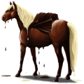 Pegasus Lusitano Bay