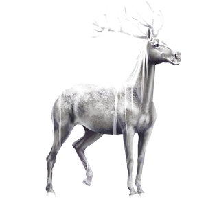 100119010-normal.png?_ga=1.164698687.147