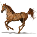 Unicorn Knabstrupper Few Spots