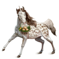 Unicorn Arabian Horse Liver chestnut