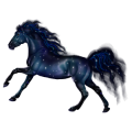 Pegasus Thoroughbred Dark Bay