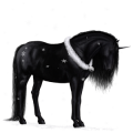 Unicorn Arabian Horse Fleabitten Gray