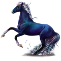 Horse Lipizzan Bay